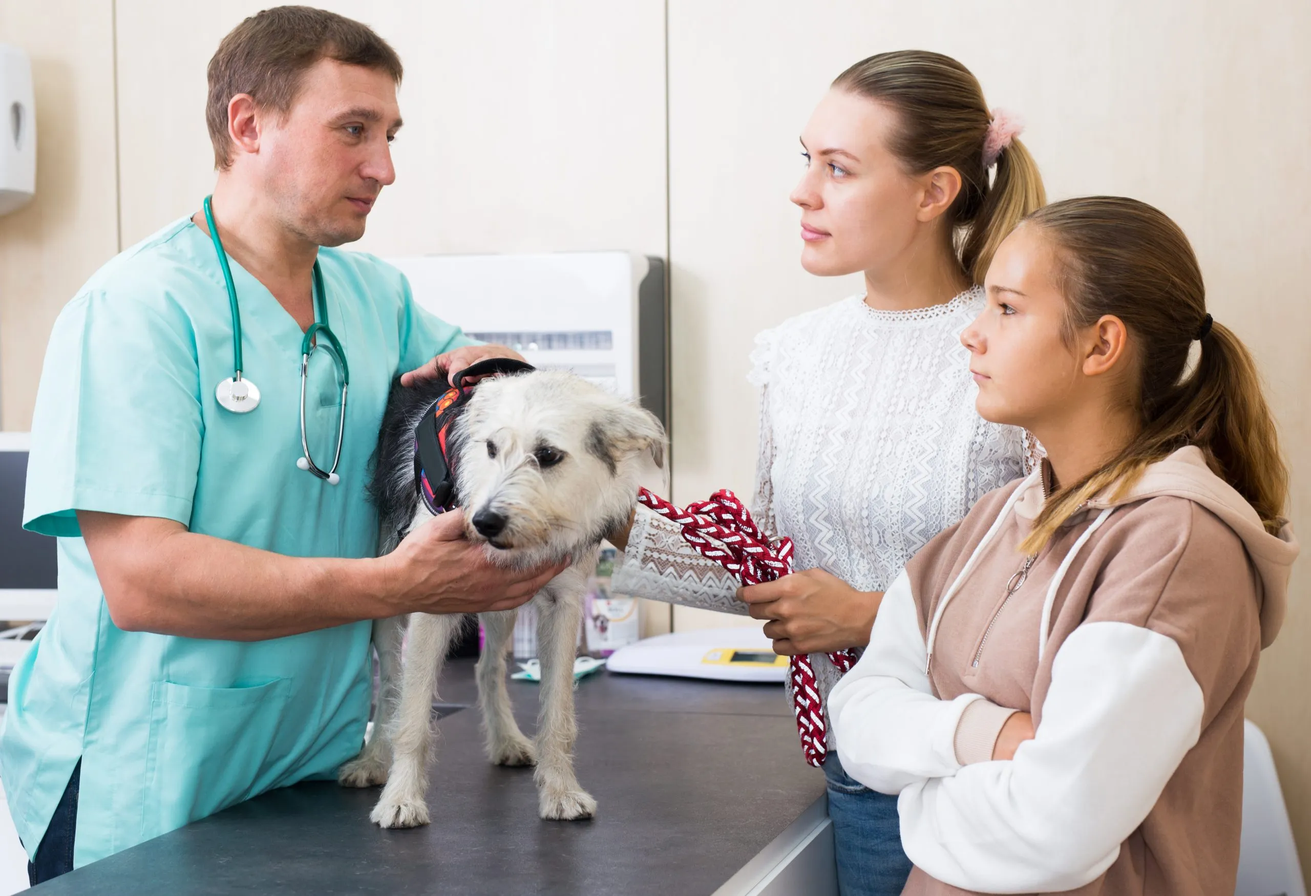 What To Expect At Your Pet’s First Vet Visi