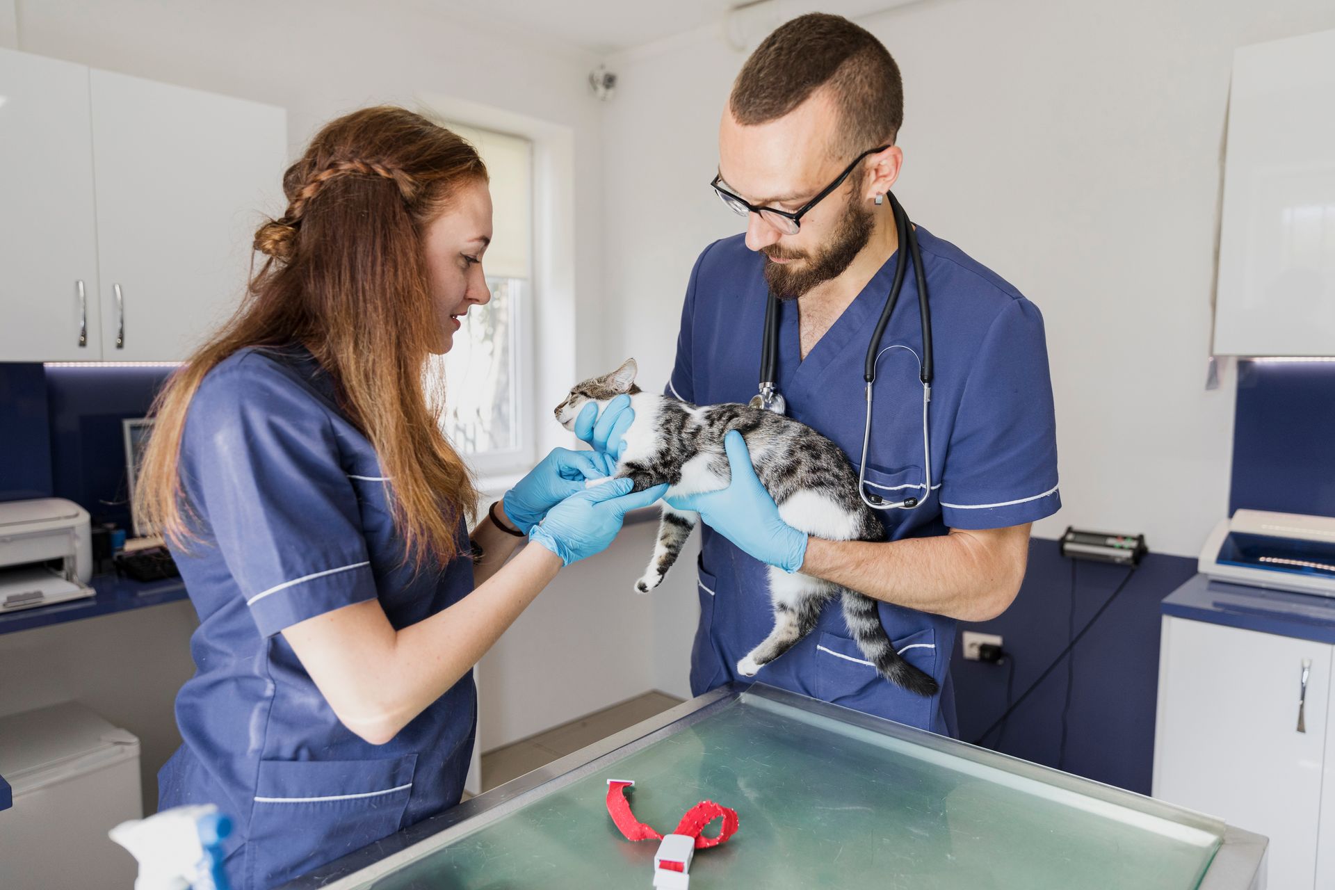 The Value Of Extended Hours In Veterinary Urgent Care