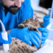 4 Benefits Of Choosing A Local Animal Clinic For Your Pet