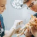 6 Ways Veterinary Hospitals Keep Patients Comfortable Overnight